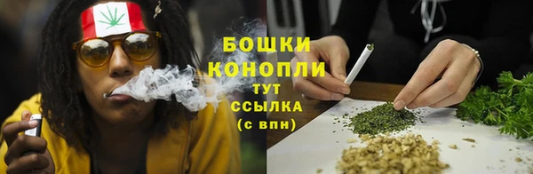 PSILOCYBIN Богородицк