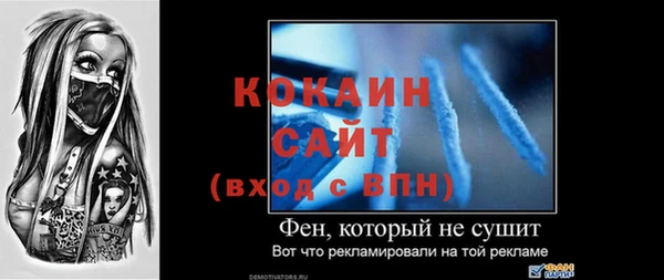 PSILOCYBIN Богородицк