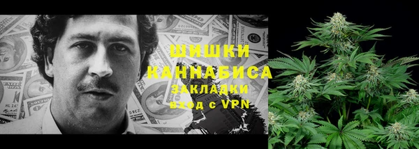 PSILOCYBIN Богородицк